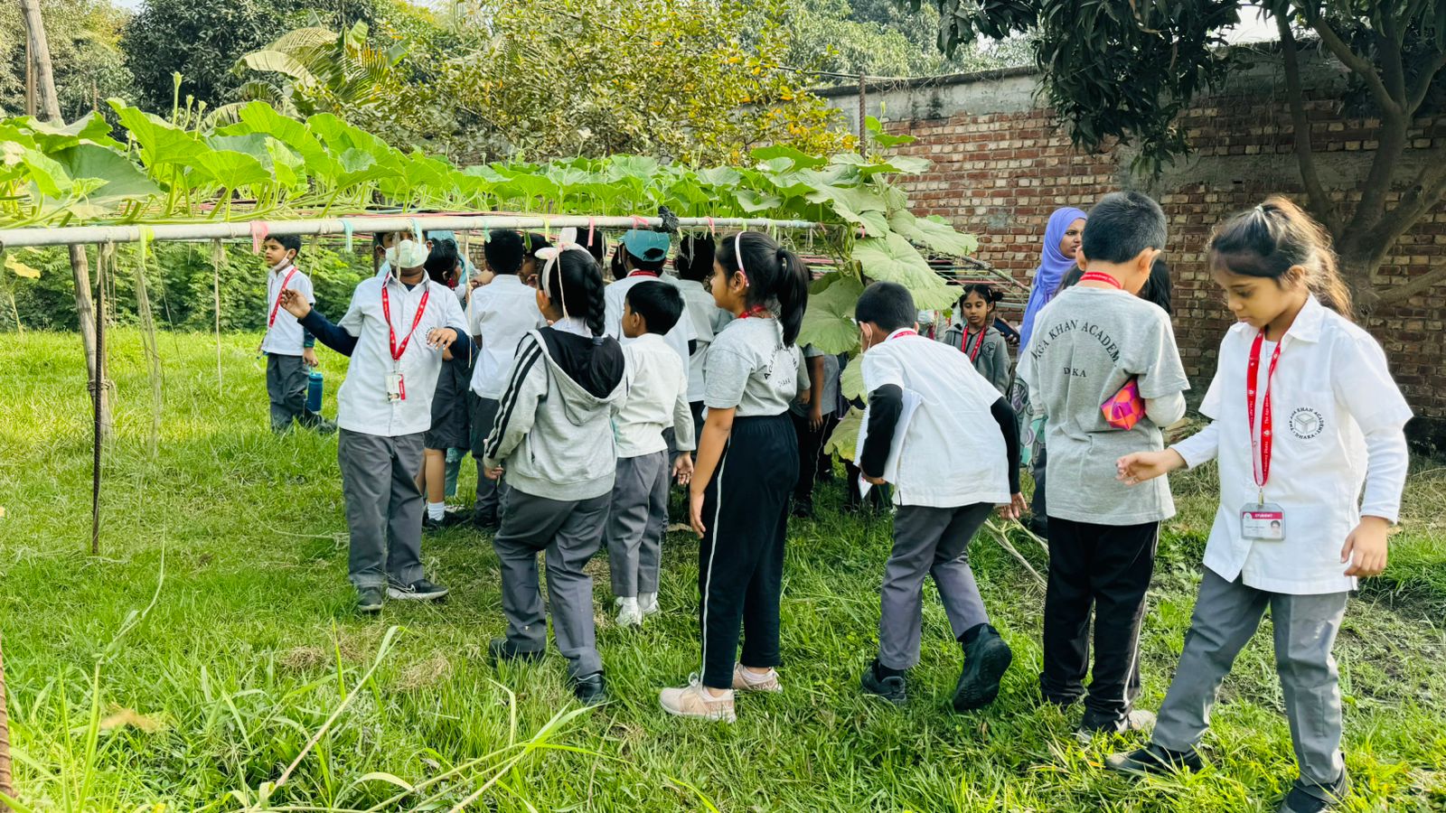 Grade 1 students visit a farmhouse 