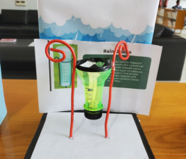 Grade 7 students' 3D model project 