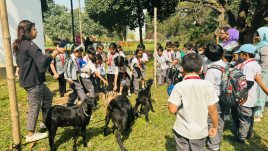 Grade 1 students visit a farmhouse 